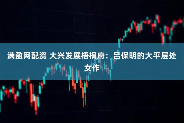 满盈网配资 大兴发展梧桐府：吕保明的大平层处女作