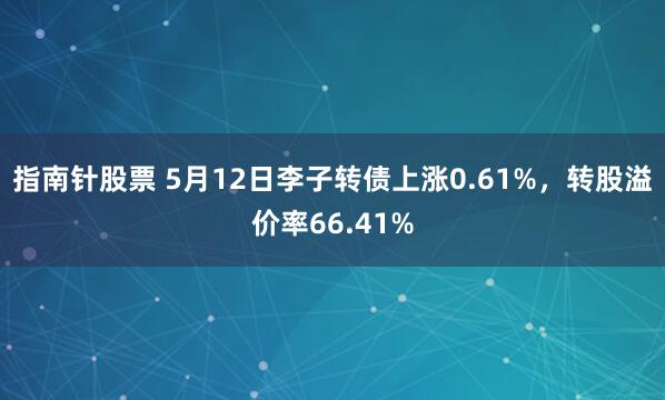 指南针股票 5月12日李子转债上涨0.61%，转股溢价率66.41%